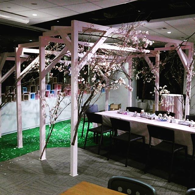 プロモーションのお手伝いで藤棚ならぬ桜棚を作りました。奥行きを強調するために後ろが低くなっています。#スターバックス #starbucks