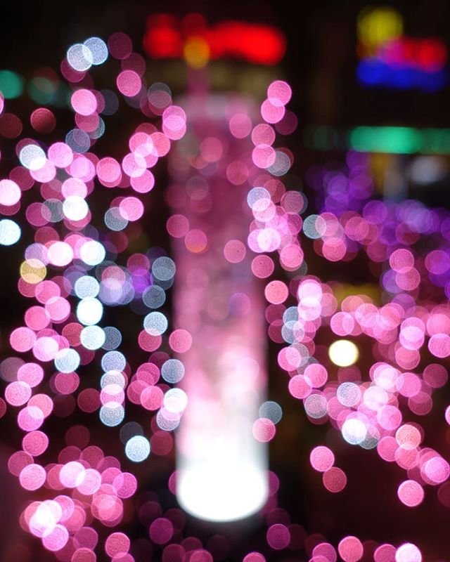 .#xmas #ornaments #lights #クリスマスツリー #prilaga #christmaslights #クリスマスイルミネーション #winter #クリスマス #decorations #イルミネーション #holiday #illusration #merrychristmas #xmas #instagood