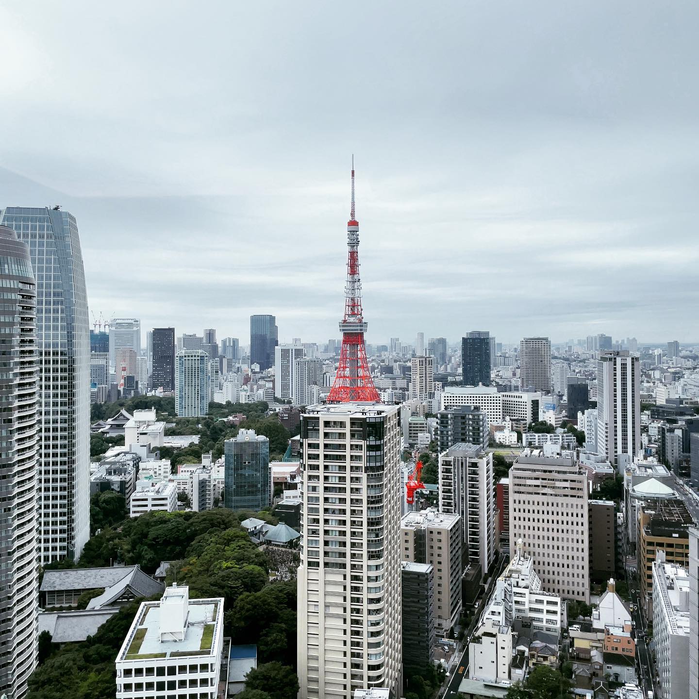 ここに住んだら東京タワーって思ってたより低いよね〜とか思うのだろうか…